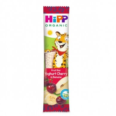 Organic fruit bar yoghurt cherry in banana